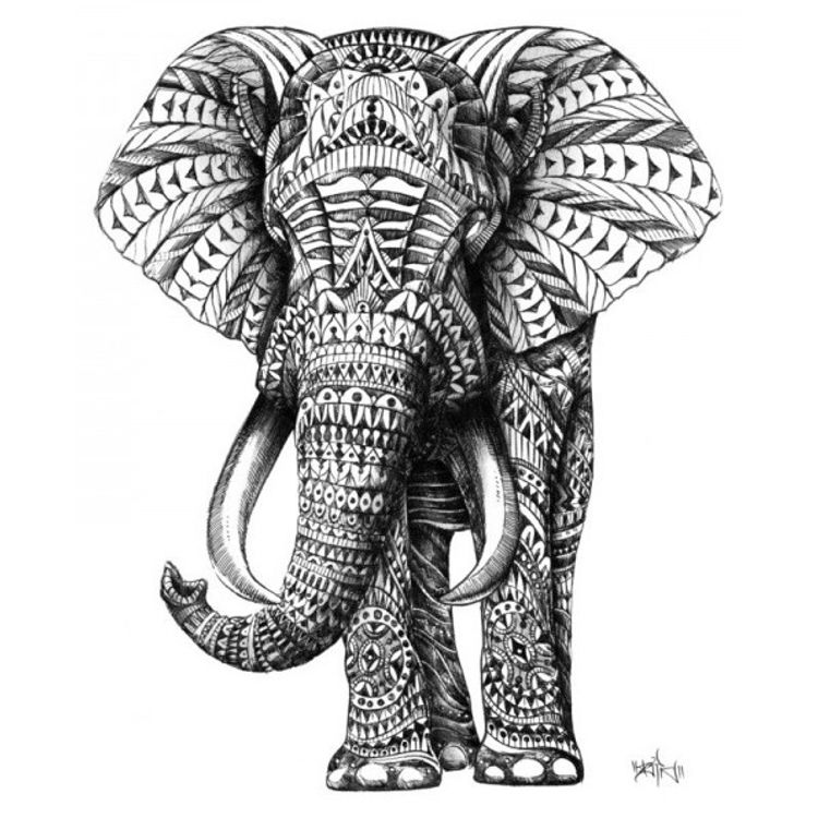 Ornate Elephant by Bioworkz