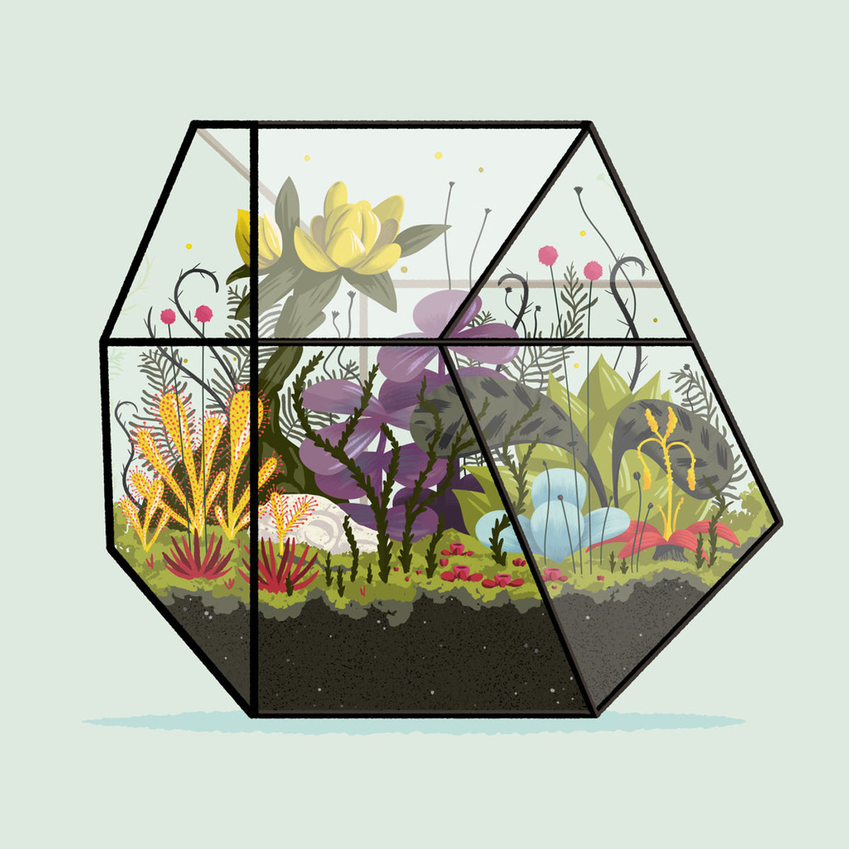 Terrarium #3 (Metroid)
