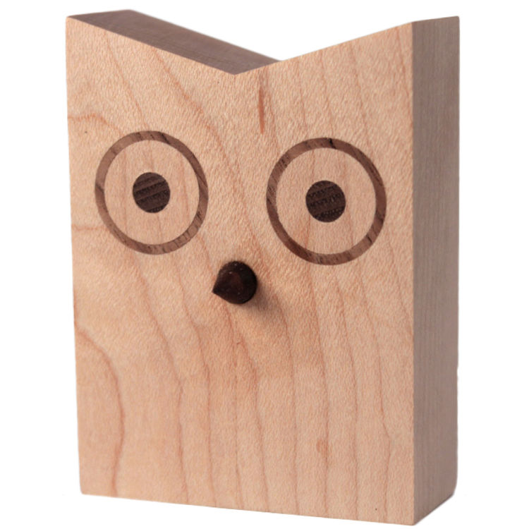 Small Owl by Mark Brown