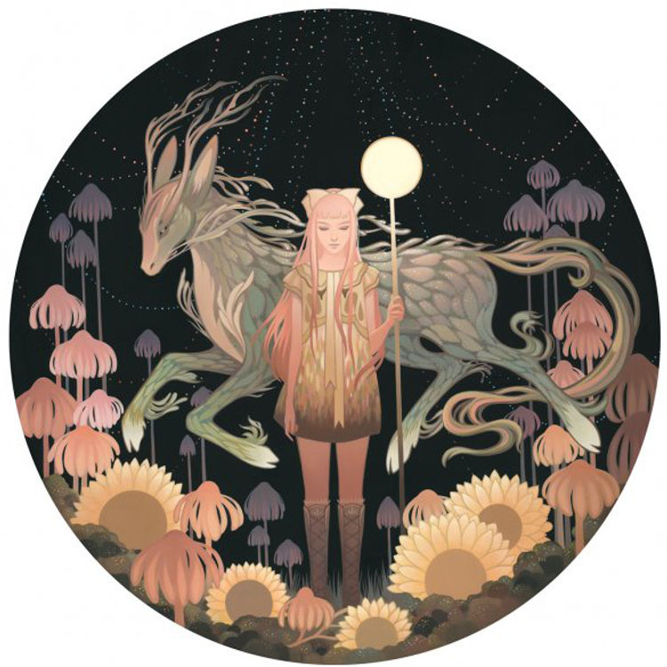 null by Amy Sol
