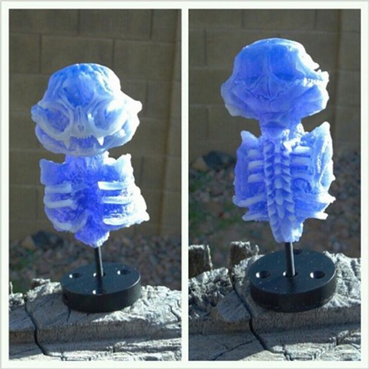 Misfortune Cat Skeleton -Blue/White by Scott Wilkowski