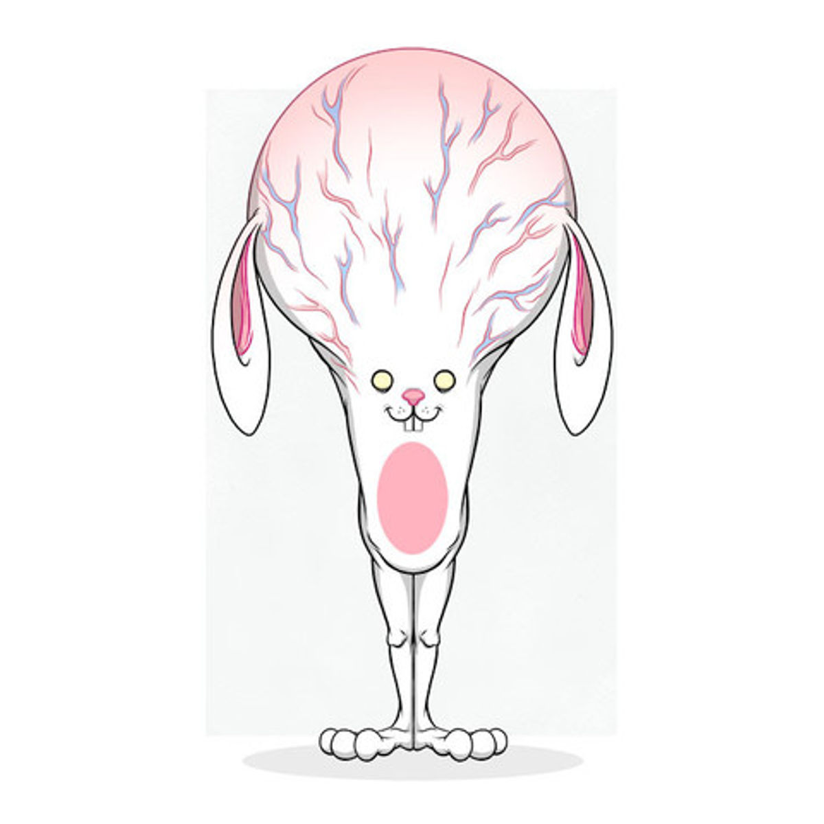 Bunnywith All The Trivia Knowledge In The World