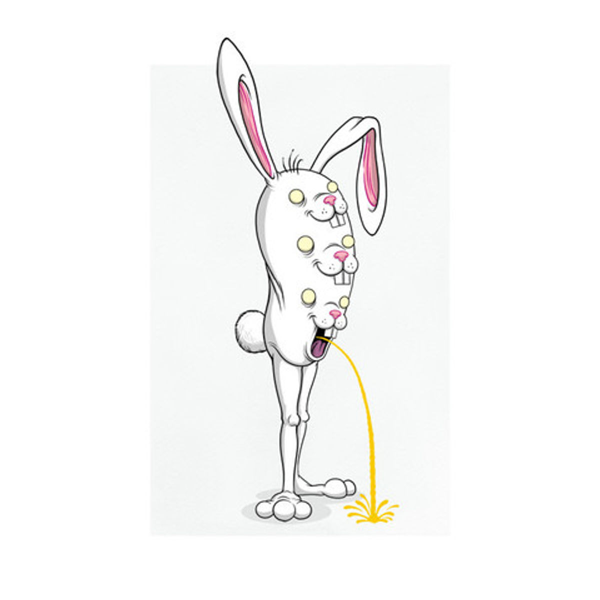 Bunnywith Tri Face