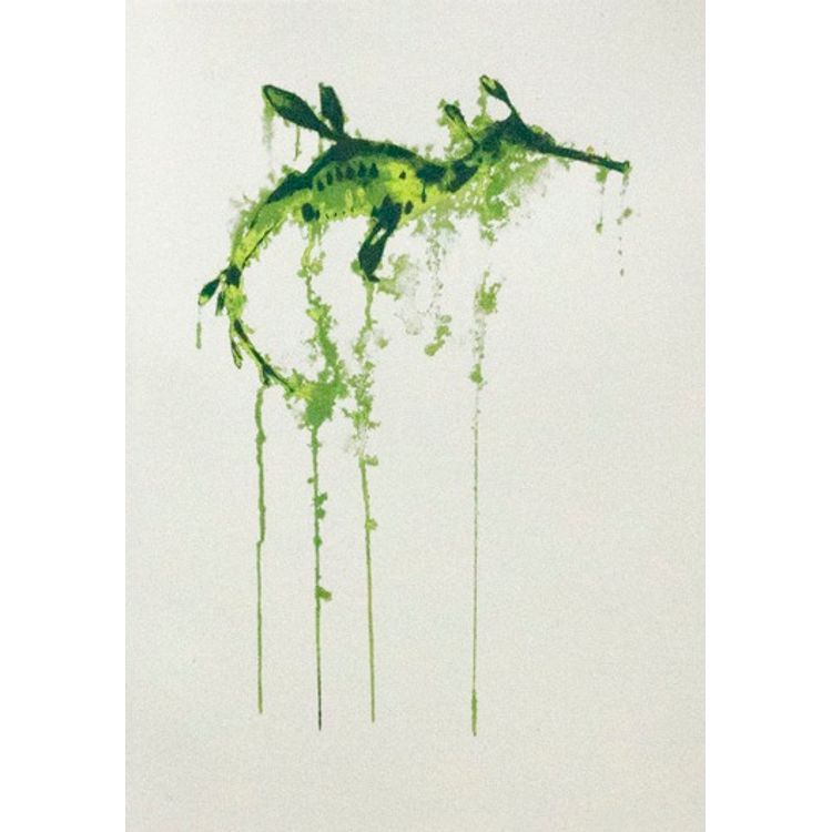 Weedy Seadragon by Nicole Tattersall