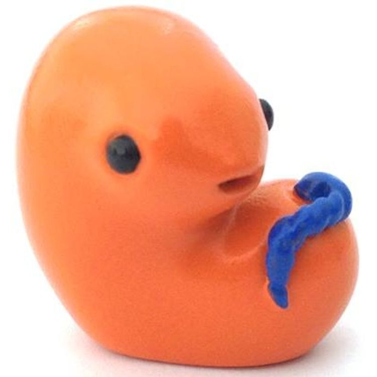 Monster Embryo - Orange by Taylored Curiosities