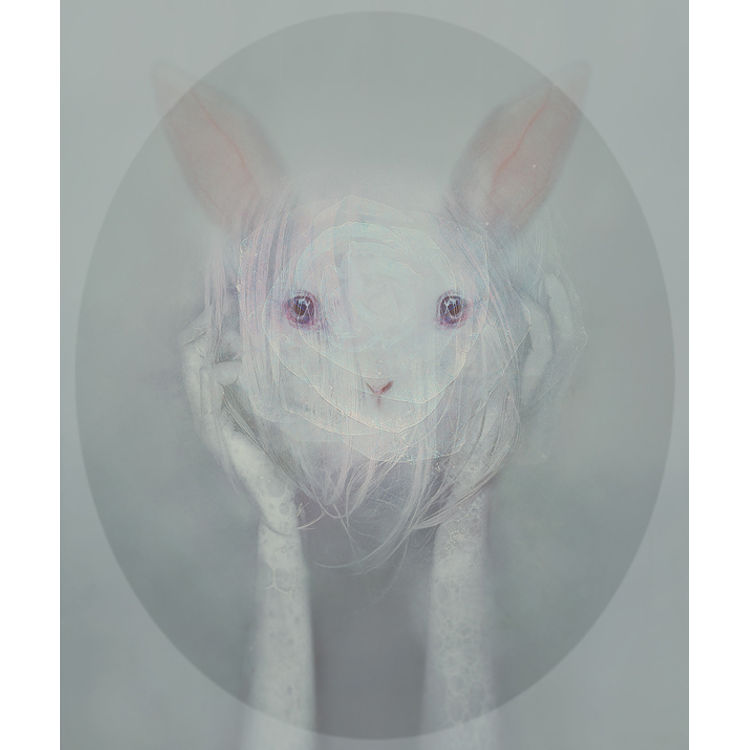Stray by Leslie Ann O'Dell