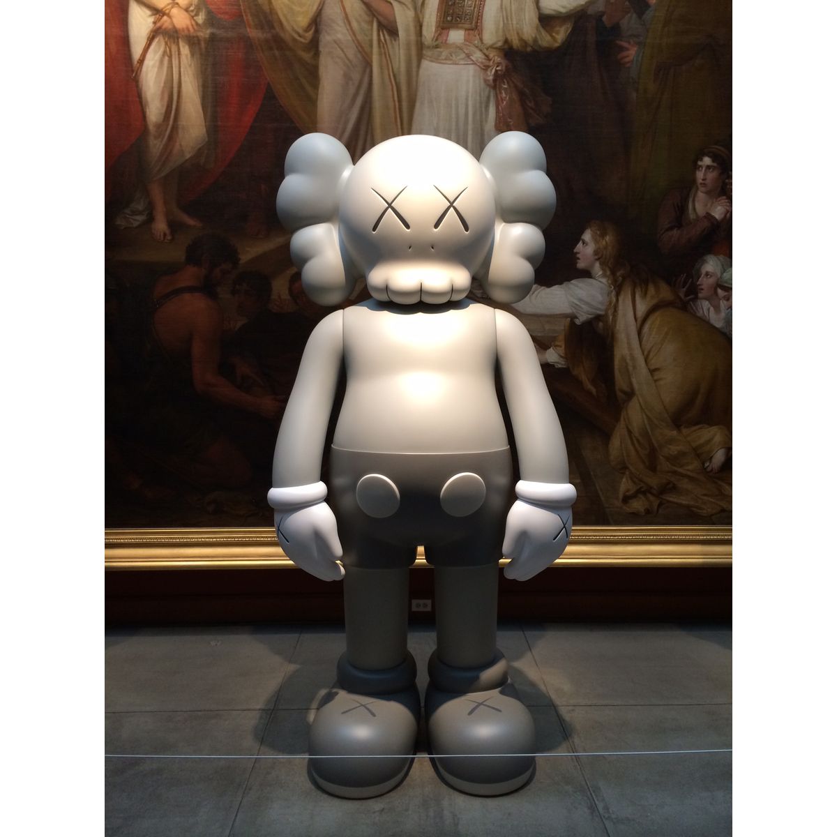 8-foot Grey 5YL Companion