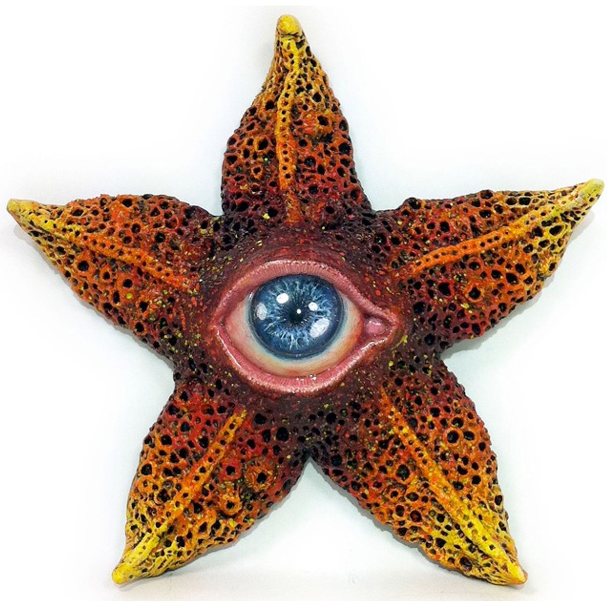 Nova