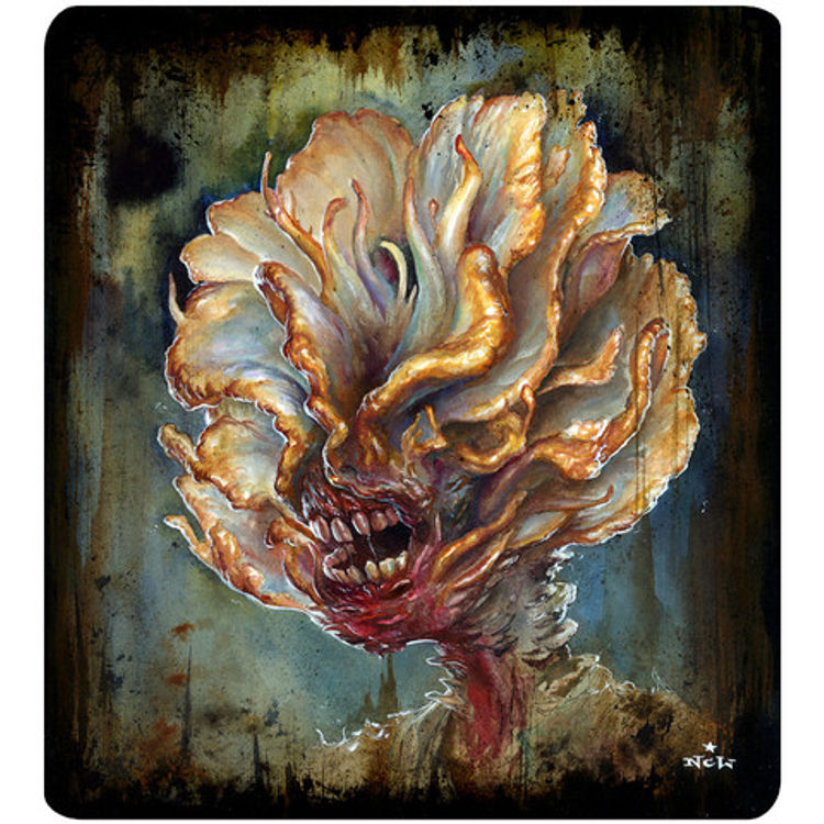 Cordyceps by N.C. Winters