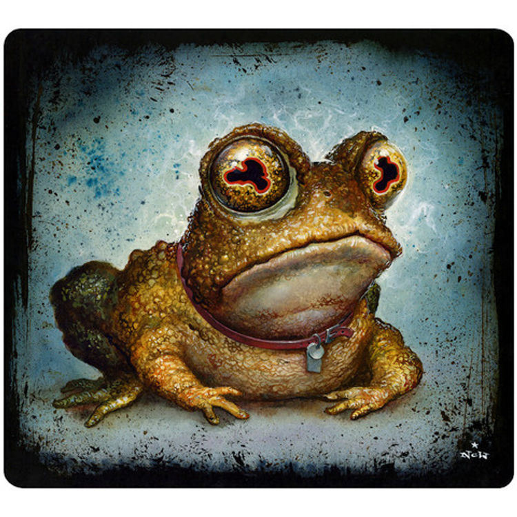 Everybody Loves Hypnotoad by N.C. Winters