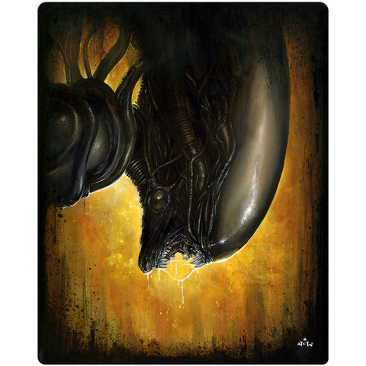 No One Can Hear You Scream by N.C. Winters
