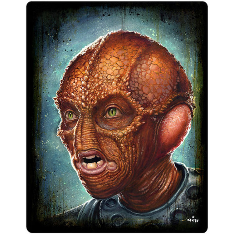 Such A Drac by N.C. Winters