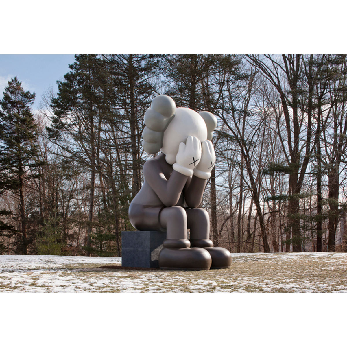 17ft Brown Passing Through Companion