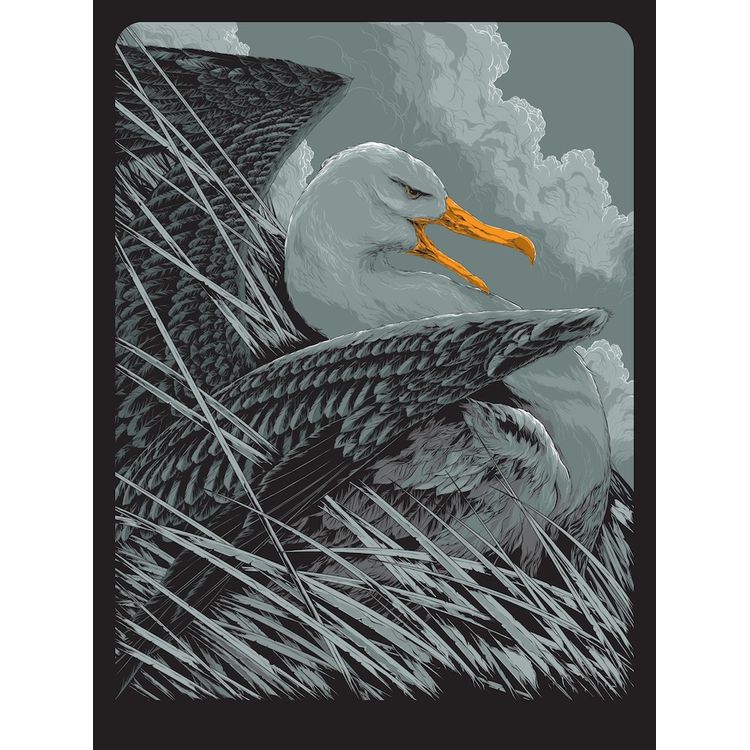 Albatross by Ken Taylor