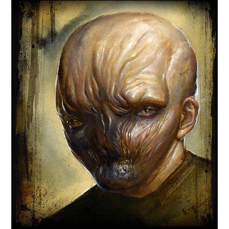 Darkness Comes by N.C. Winters