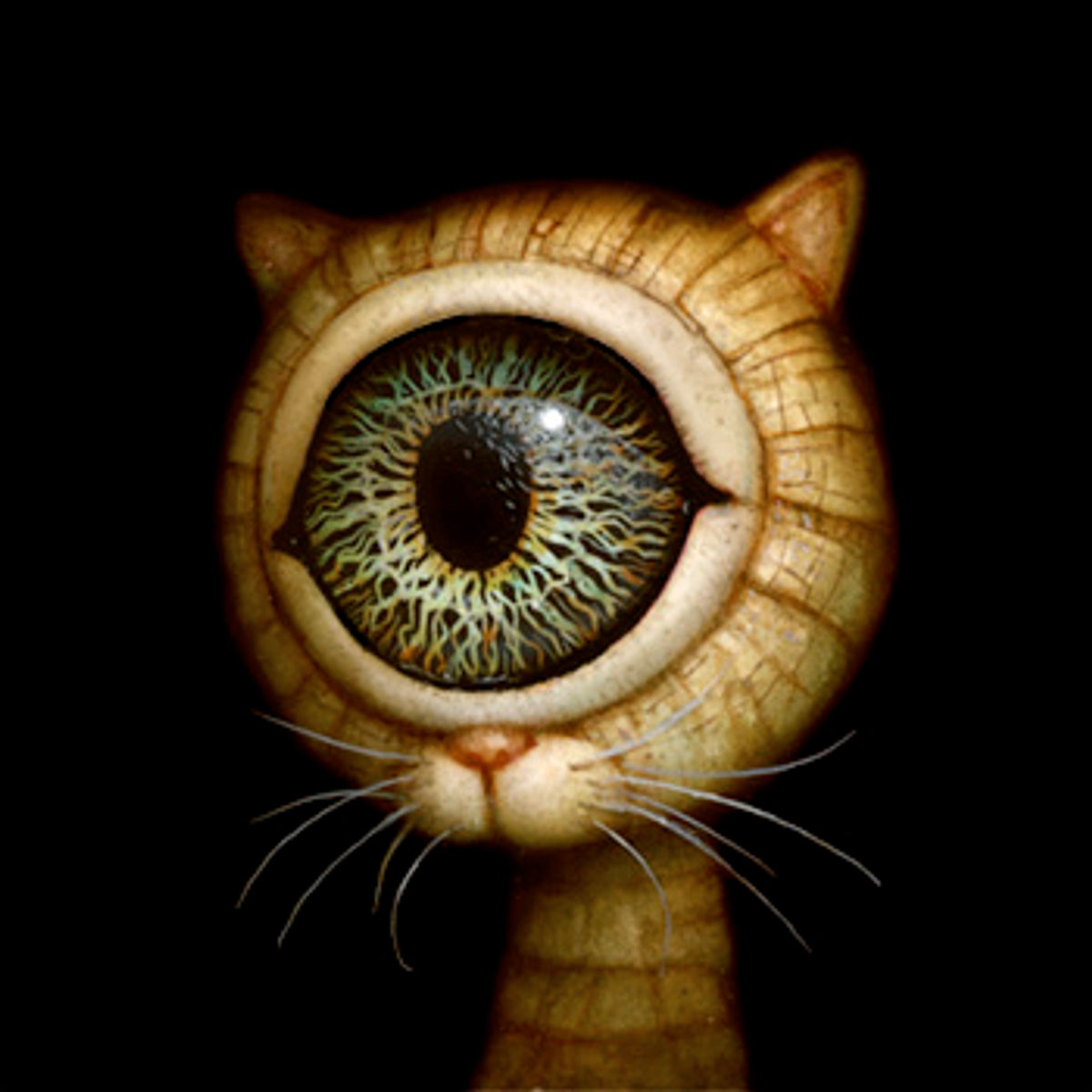 EYEKAT 06