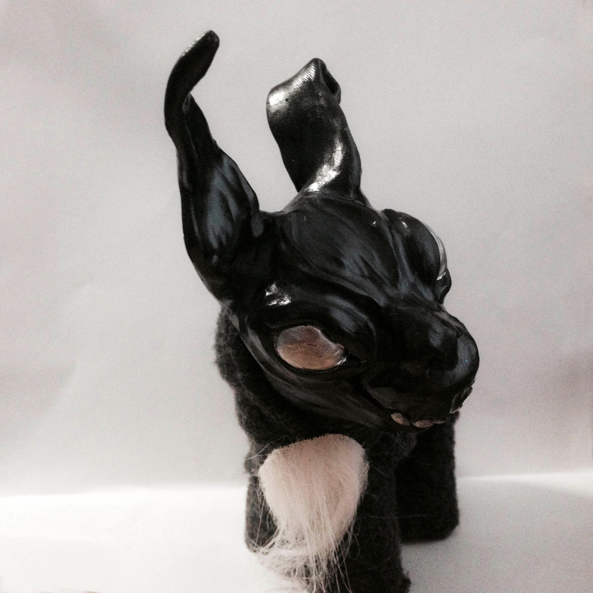 My Little Frank Pony