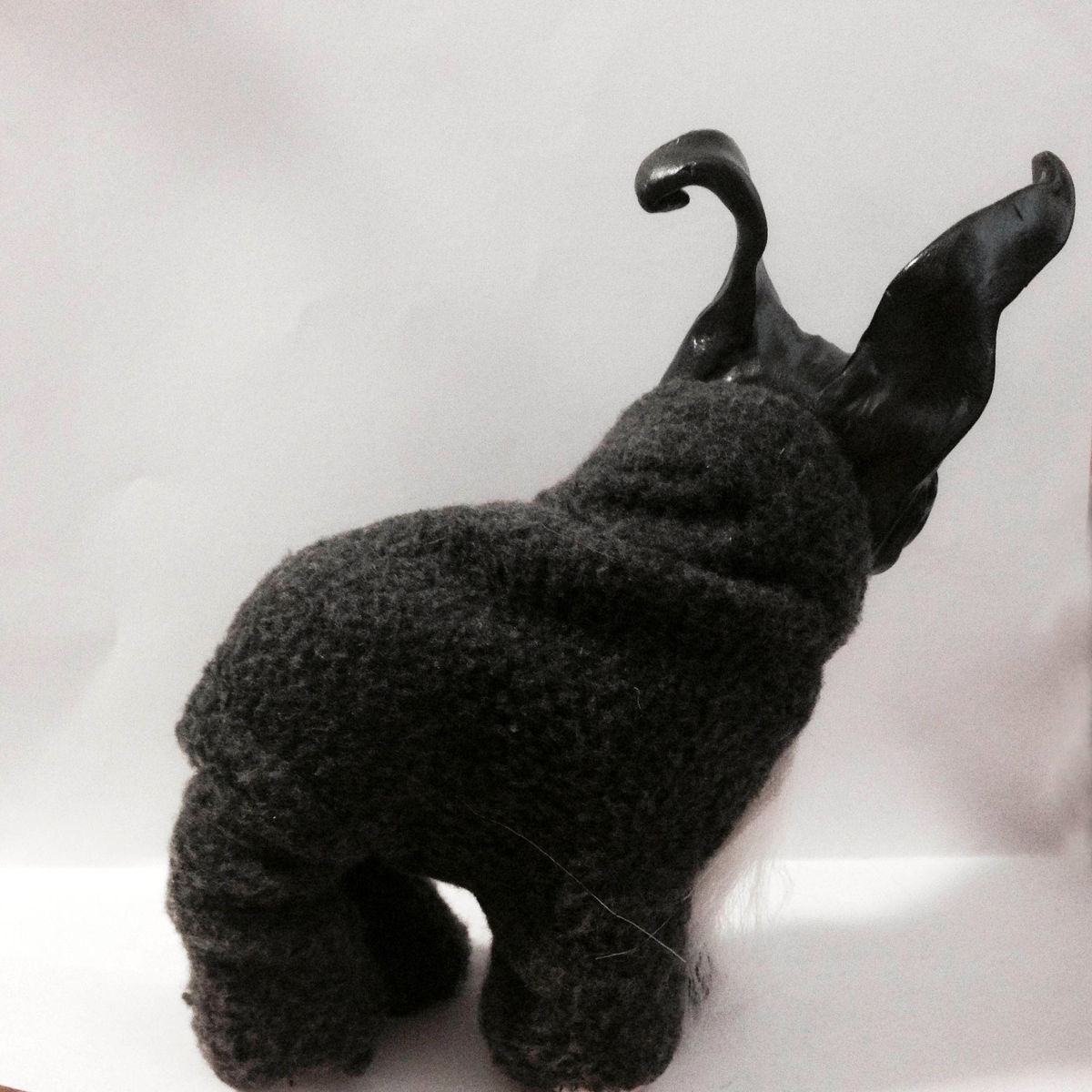 My Little Frank Pony