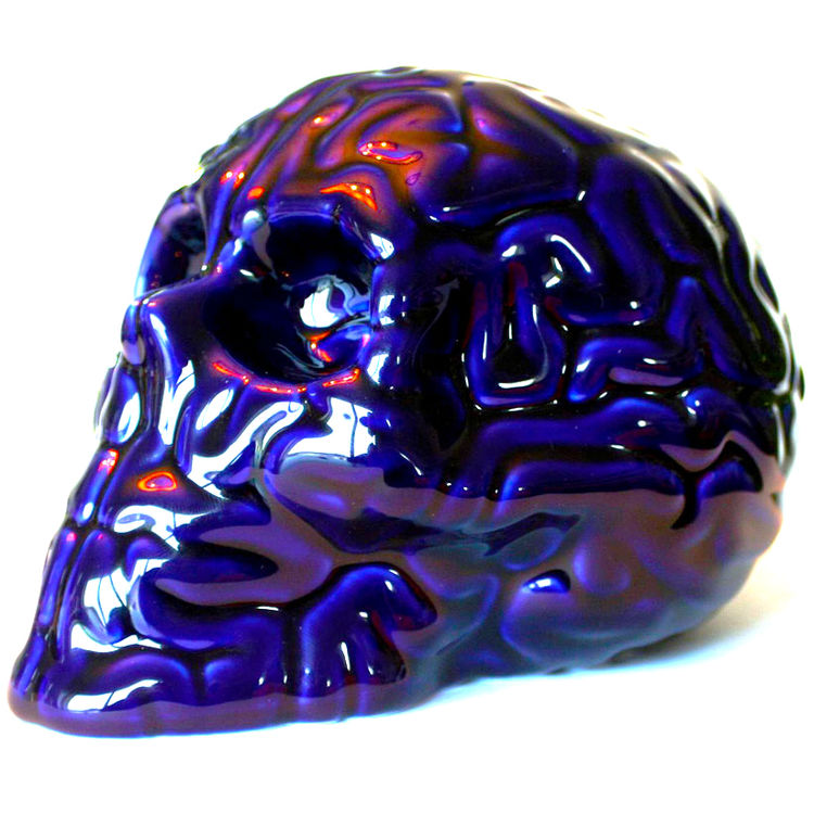 Skull Brain - Bleu de Four by Emilio Garcia