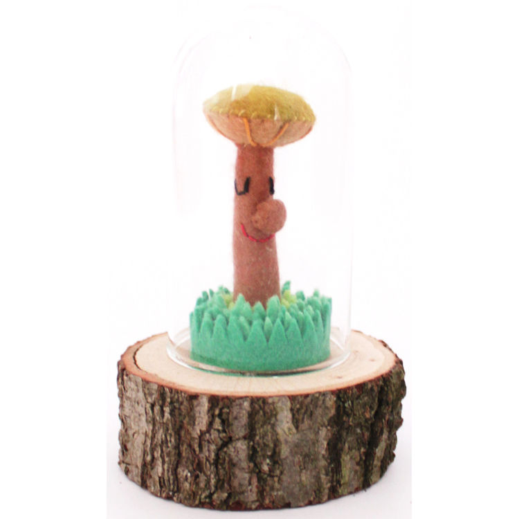 Small Mushroom Terrarium by Heidi Kenney
