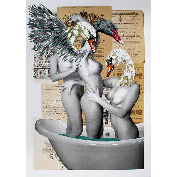Swan Lake by VINZ
