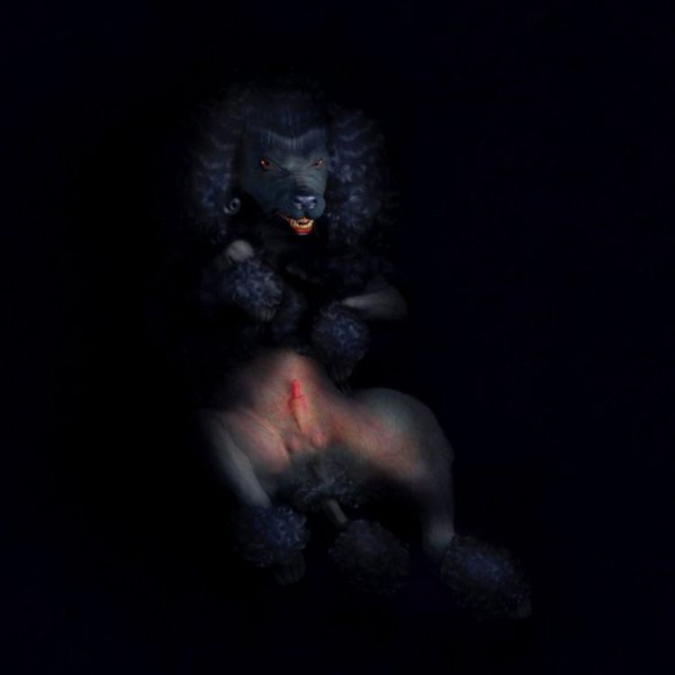 DARK GUARDIAN STUDY by Ray Caesar
