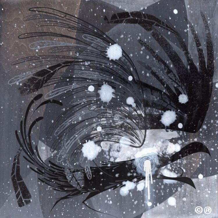 Corvus Corax by Carlos Ramos