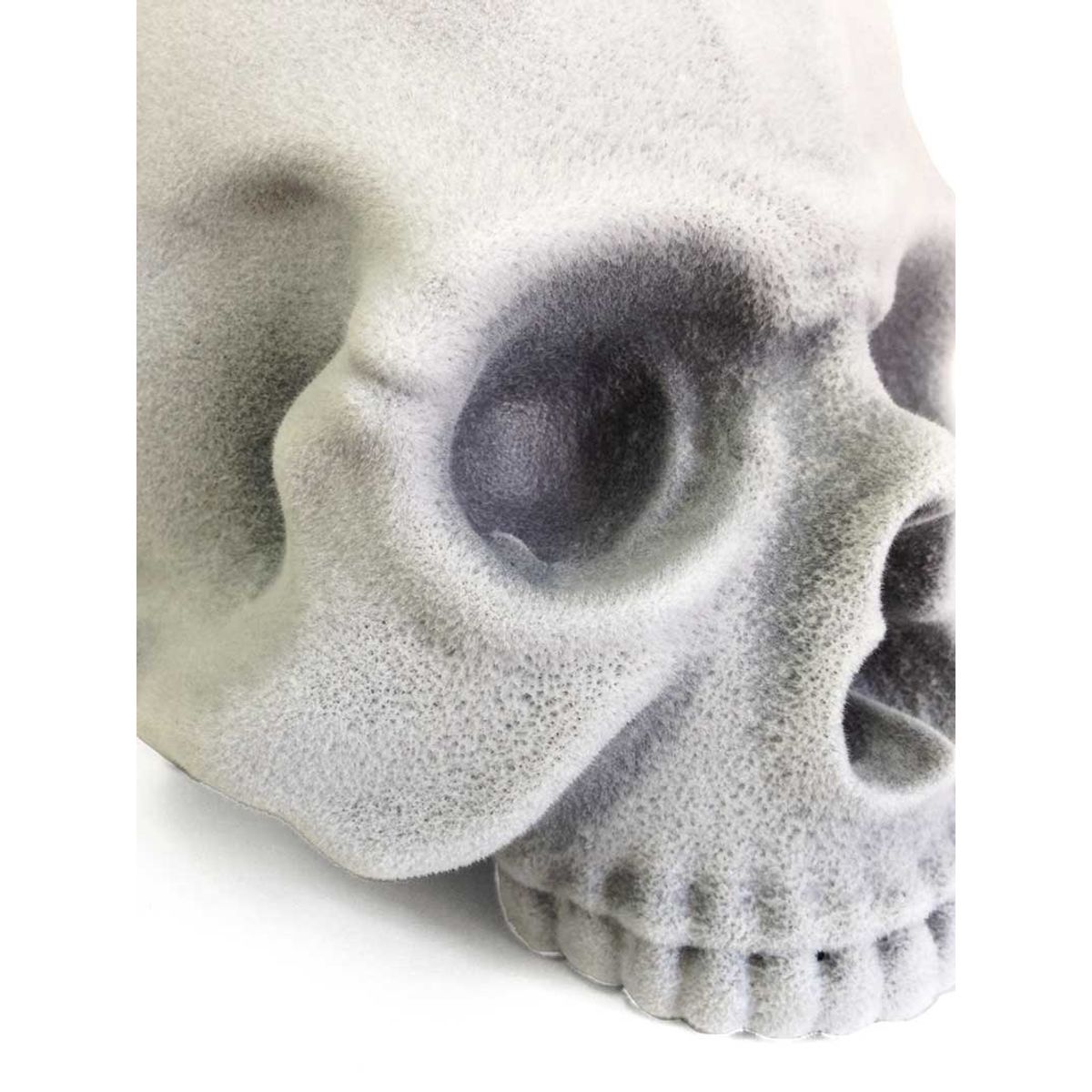 Skull Head - Flocked