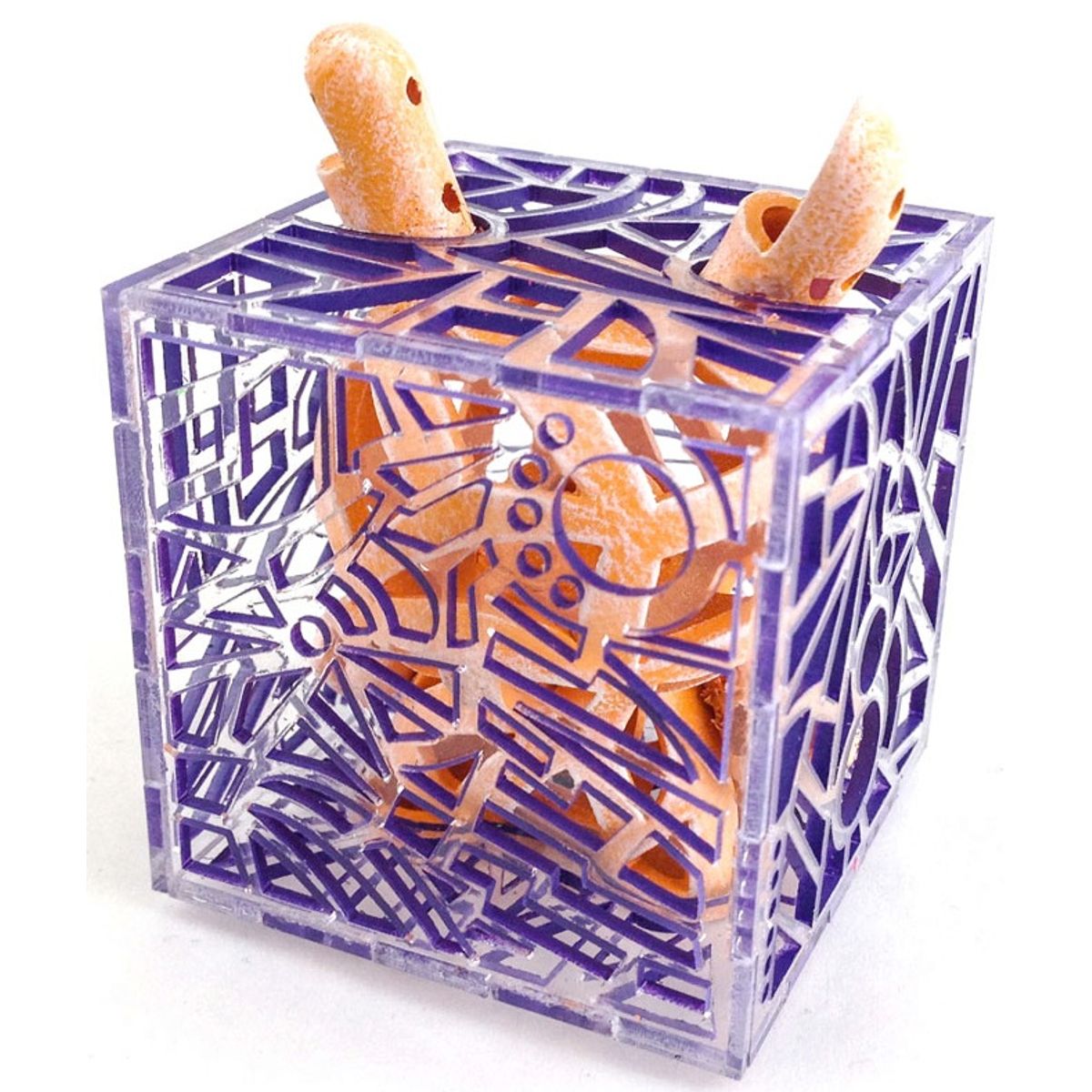 Reticulated Dunny - Purple/Orange