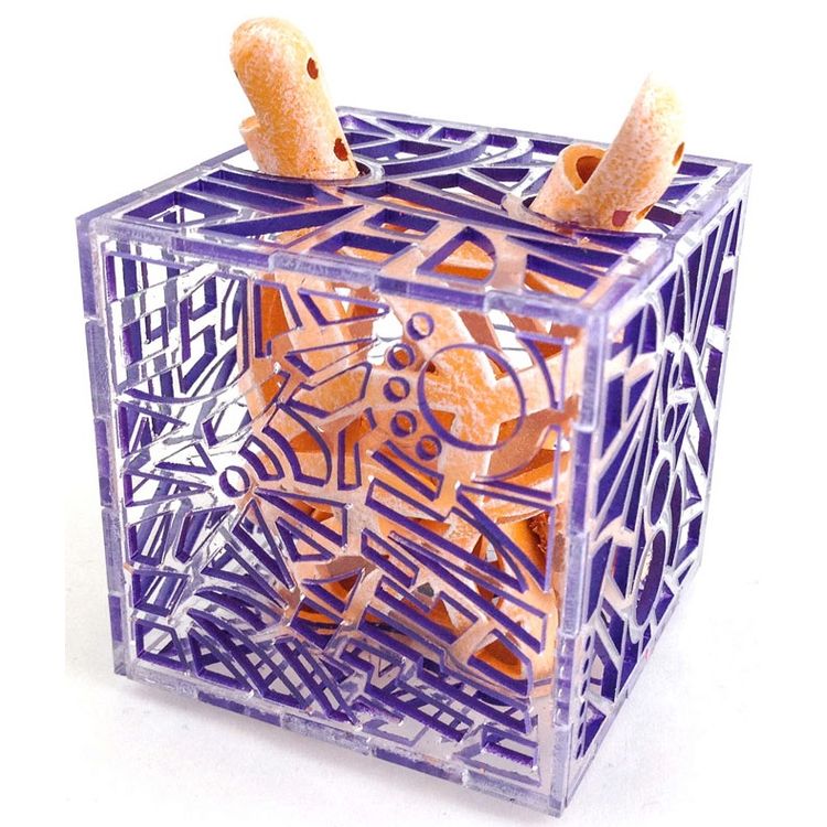 Reticulated Dunny - Purple/Orange by Carson Catlin