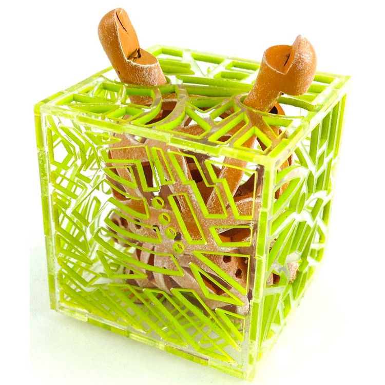 Reticulated Dunny - Green/Peach by Carson Catlin