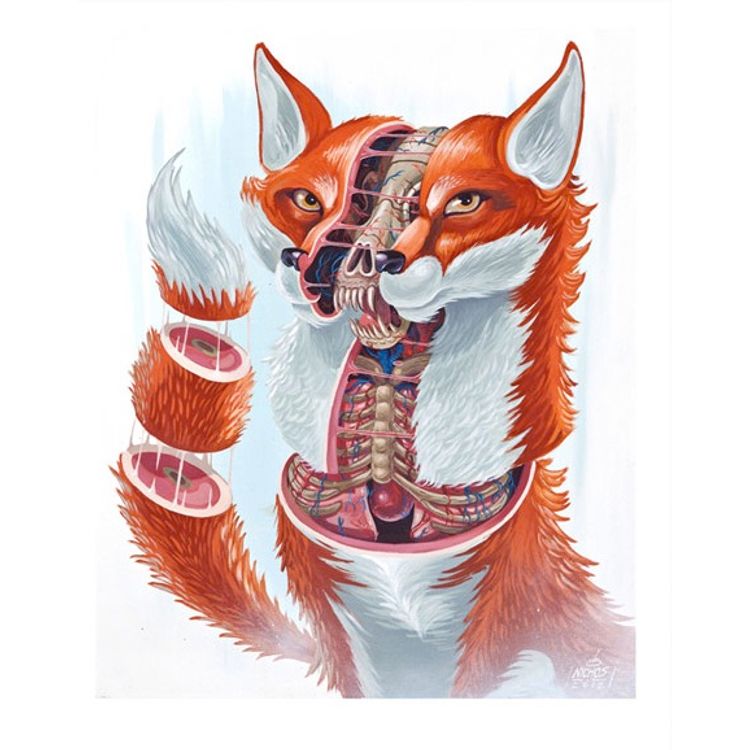 Dissection of the Fox by Nychos
