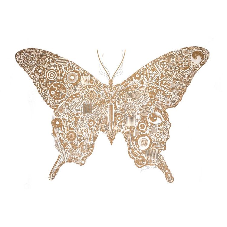 Mechanical Butterfly by James Bates