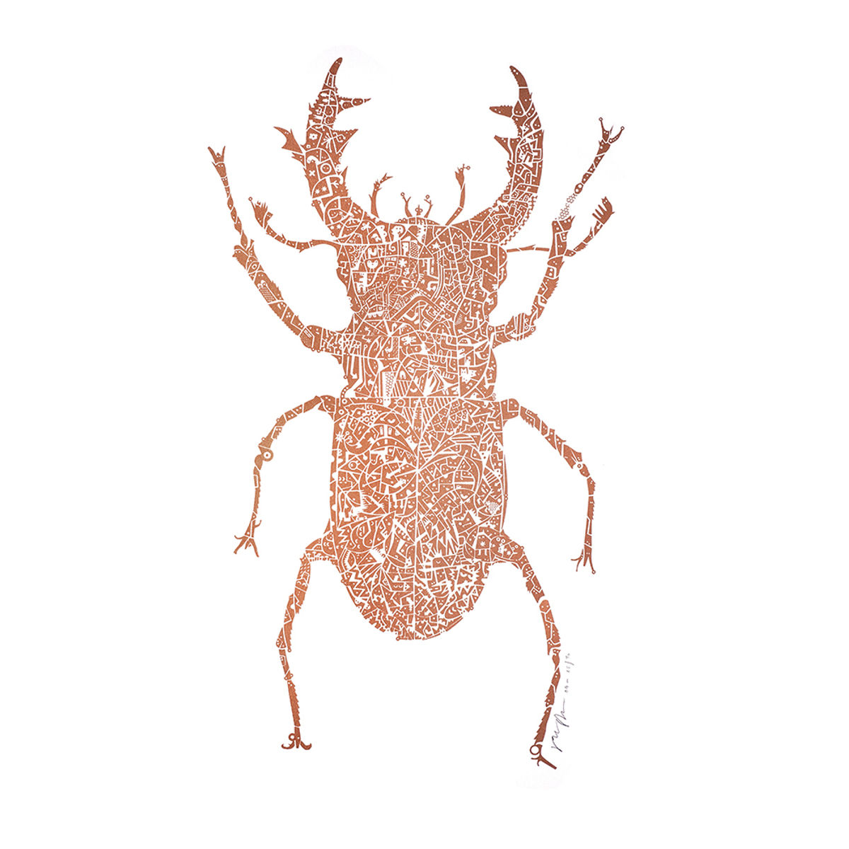 Stag Beetle - Copper