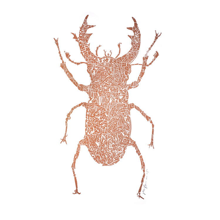 Stag Beetle - Copper by James Bates