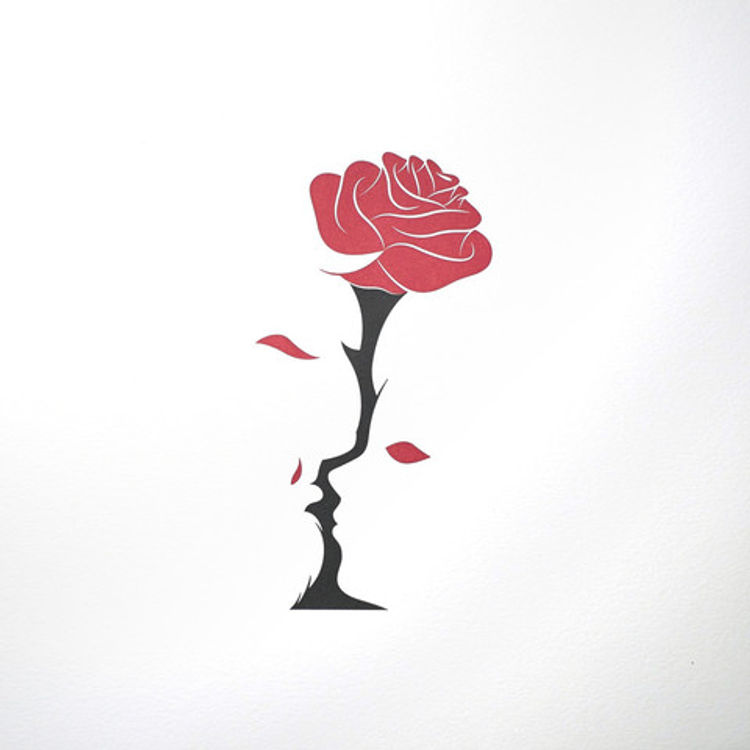 An Enchanted Rose by Bruce Yan