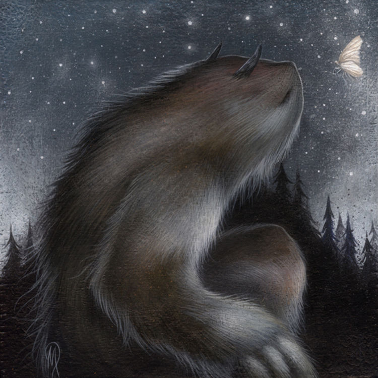 By Starlight by Dan May
