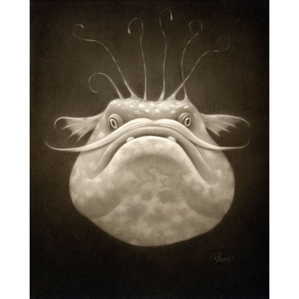 The Grumpy Angler