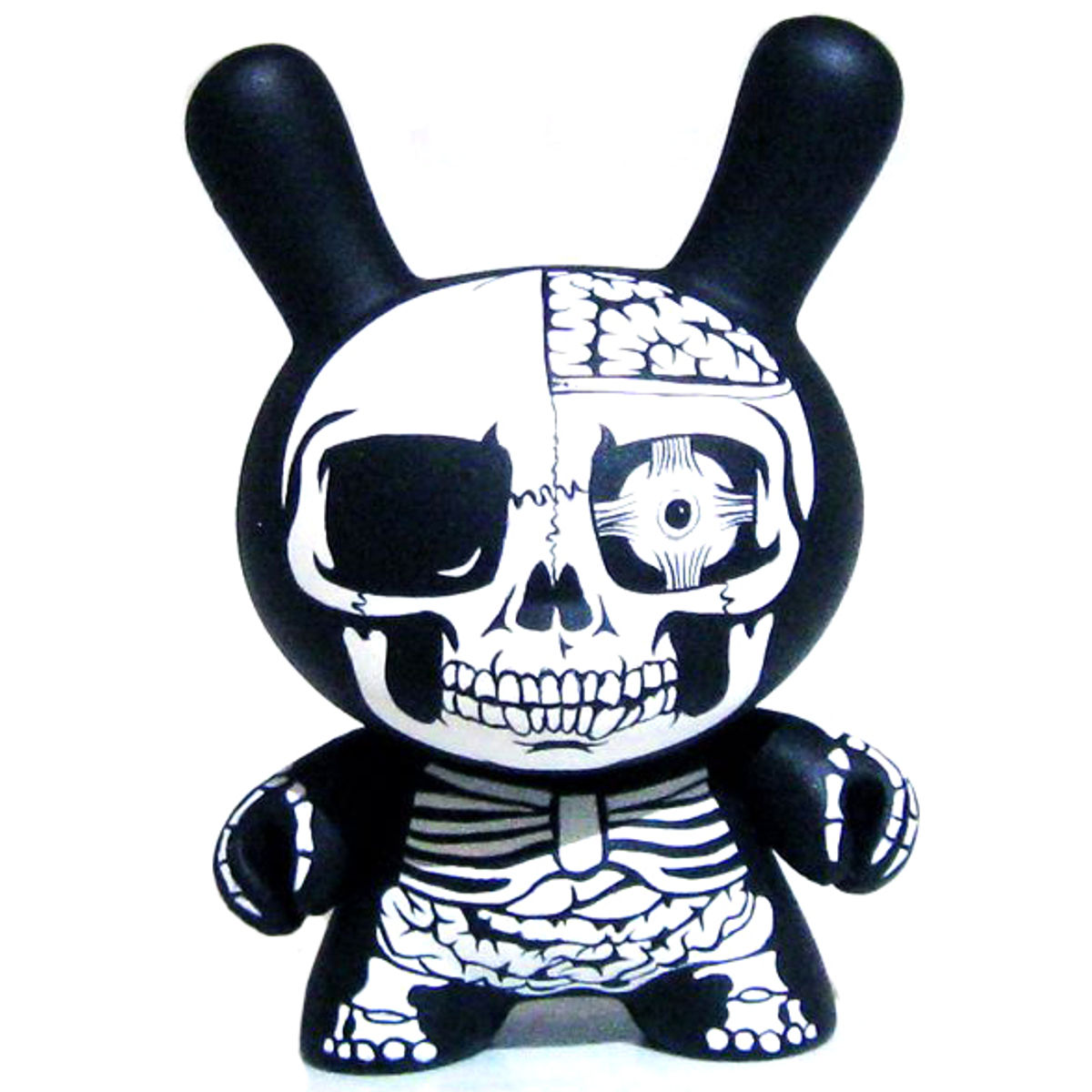 Anatomy Dunny