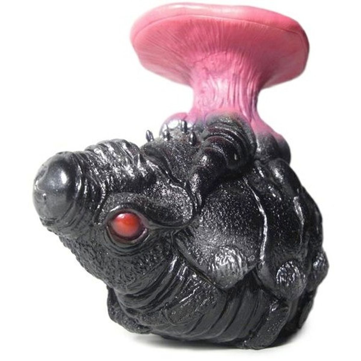 Cordyceps Igudoradon - Enigma Black