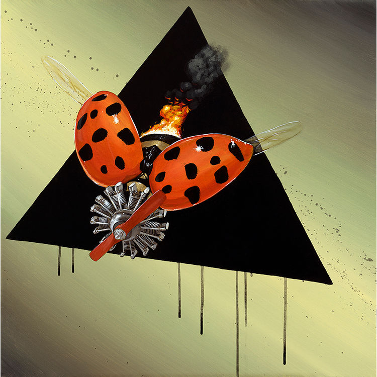 New Biology Coccinellidae 2 by Robert Bowen