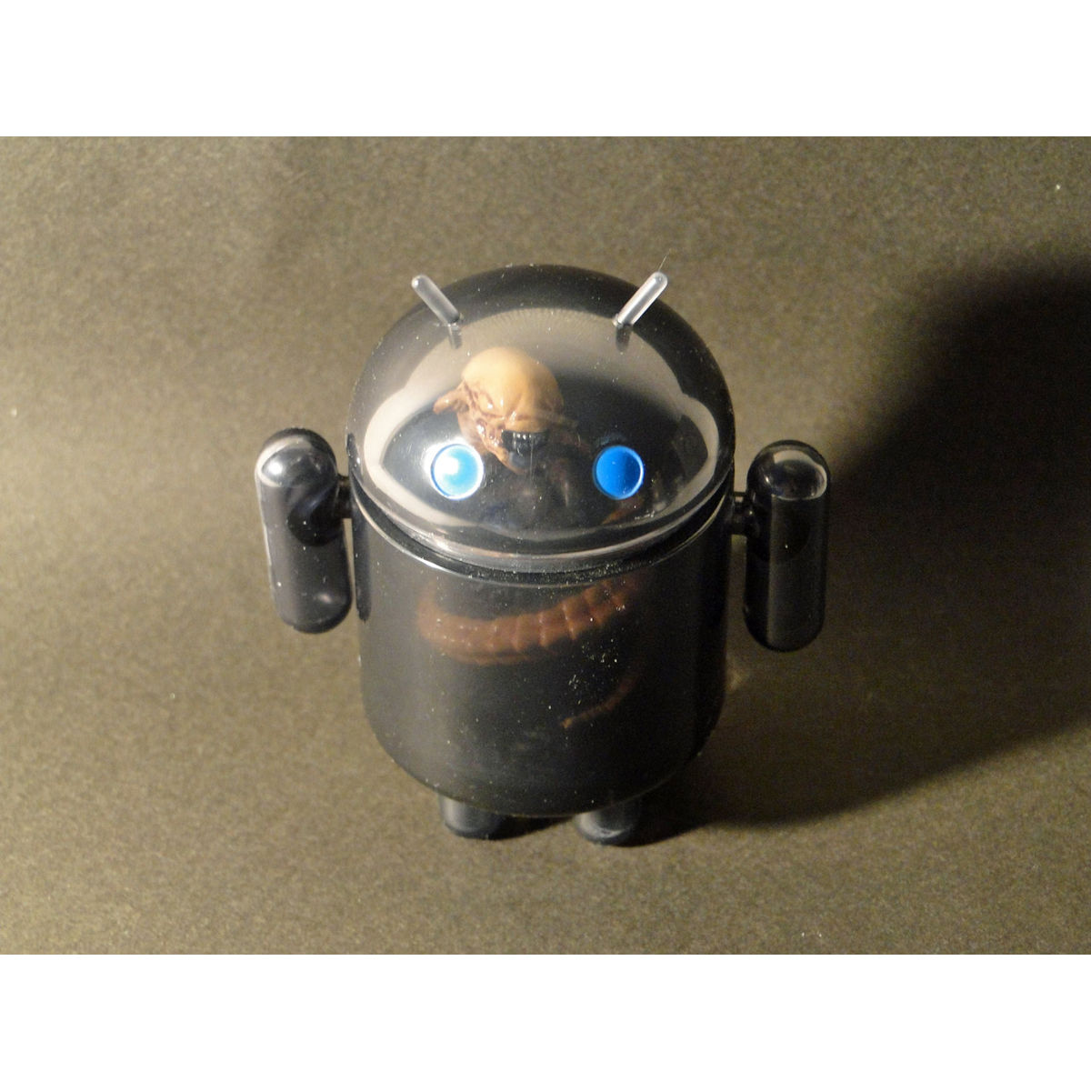 Incubator