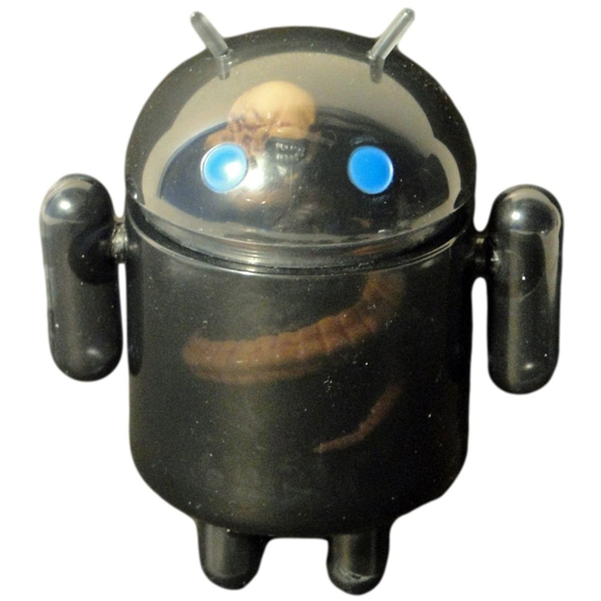 Incubator