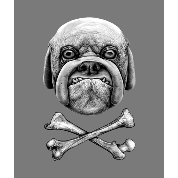 Jake and Crossbones by Joe King