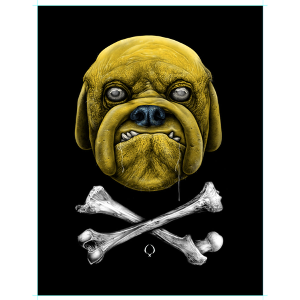 Jake And Crossbones