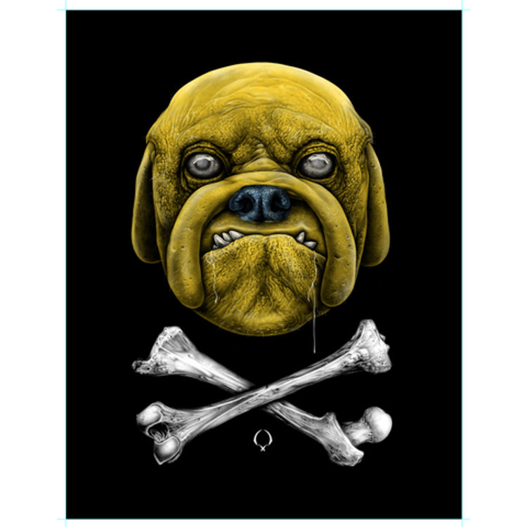Jake And Crossbones by Joe King