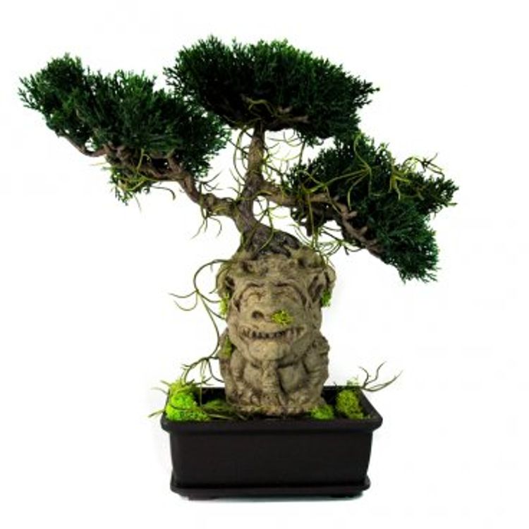 BONZAI by Tim Clarke