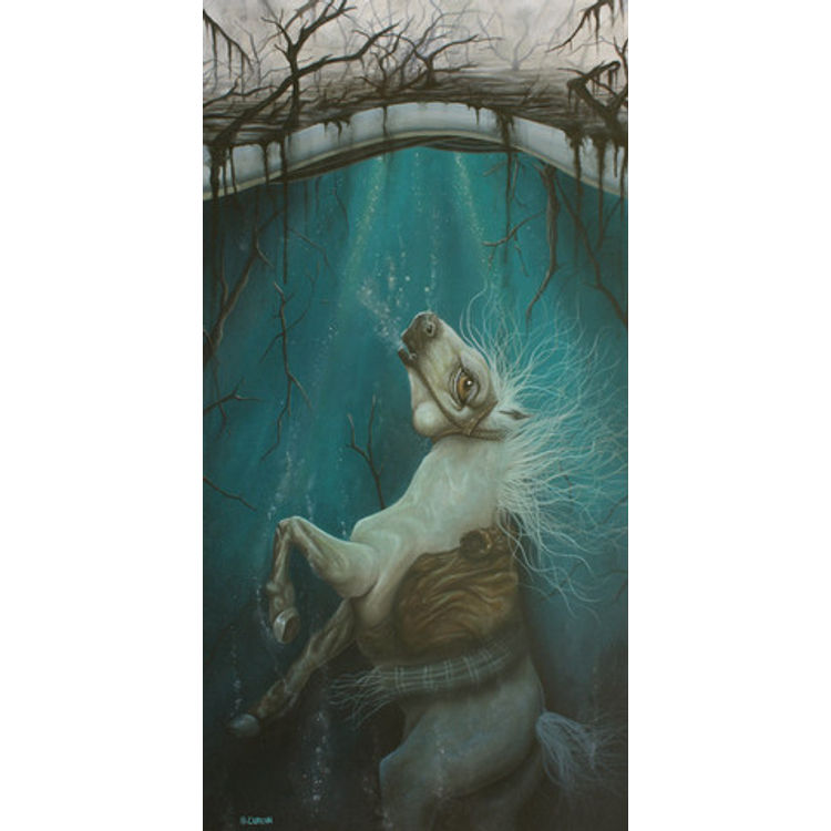 Swamp of Sadness by Graham Curran
