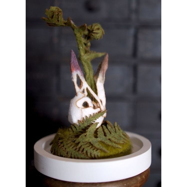 Summer Jay by Lana Crooks