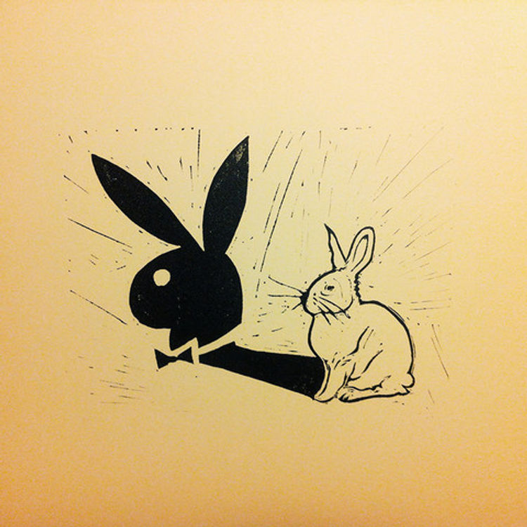 Playboy Bunny Shadow by Rocco Malatesta
